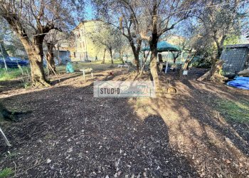 Foto 17 - Casa semi indipendente via degli ulivi, Seravezza - foto 17