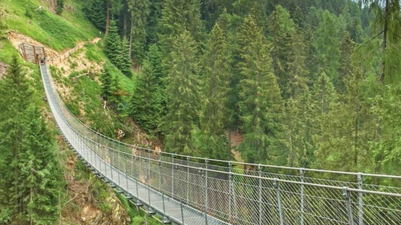 Giardino - Attività Commerciale Rabbi - foto 3