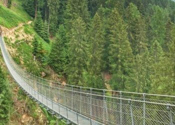 Giardino - Commercial Activity Rabbi - photo 3