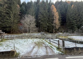 Vista delle montagne - Commercial Activity Rabbi - photo 5