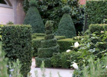 Giardino - Three-room apartment corso Beato Giovenale Ancina, 17/a, Saluzzo - photo 26