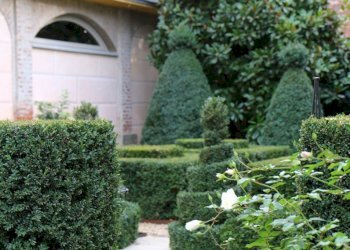 Giardino - Three-room apartment corso Beato Giovenale Ancina, 17/a, Saluzzo - photo 27