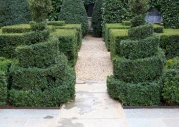 Cortile interno - Trilocale corso Beato Giovenale Ancina, 17/a, Saluzzo - foto 36