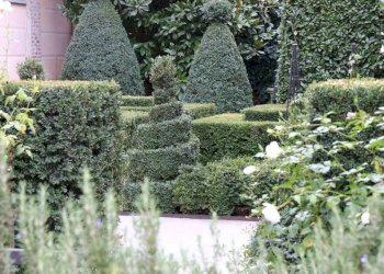 Giardino - Three-room apartment corso Beato Giovenale Ancina, 17/a, Saluzzo - photo 37