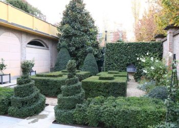 Giardino - Three-room apartment corso Beato Giovenale Ancina, 17/a, Saluzzo - photo 39