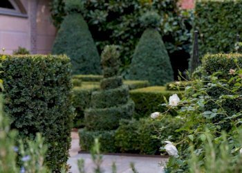 Giardino - Trilocale corso Beato Giovenale Ancina, 17/a, Saluzzo - foto 40