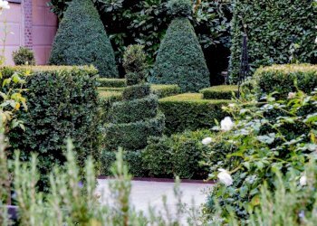 Giardino - Trilocale corso Beato Giovenale Ancina, 17/a, Saluzzo - foto 44