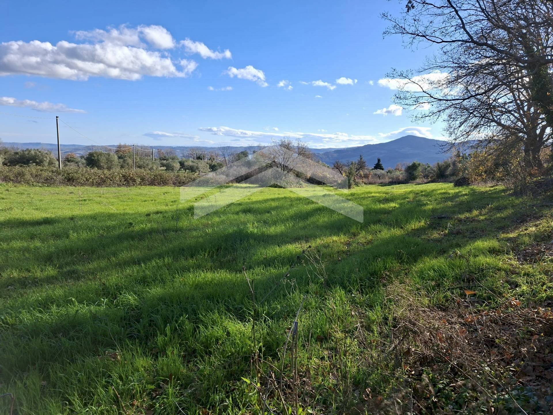 Foto 1 - Terreno agricolo Guardialfiera - foto 1