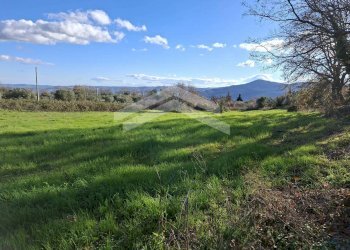 Foto 1 - Terreno agricolo Guardialfiera - foto 1