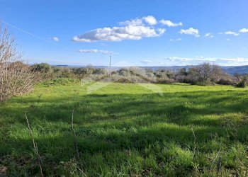 Foto 2 - Terreno agricolo Guardialfiera - foto 2