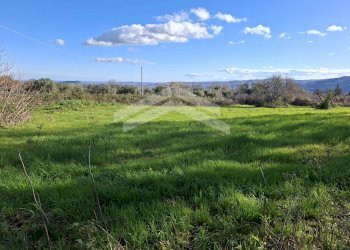 Foto 3 - Terreno agricolo Guardialfiera - foto 3