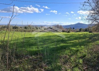 Foto 4 - Terreno agricolo Guardialfiera - foto 4