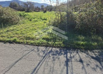 Foto 5 - Terreno agricolo Guardialfiera - foto 5