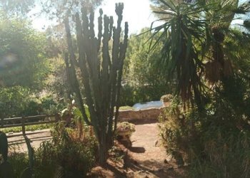 Giardino - Bilocale strada Tiro a Volo, 2, Sanremo - foto 9