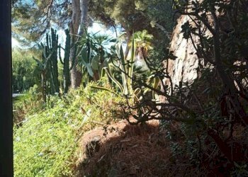 Terreno - Bilocale strada Tiro a Volo, 2, Sanremo - foto 10