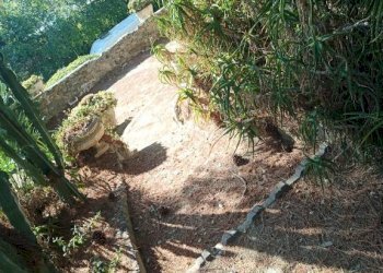Giardino - Two-room apartment strada Tiro a Volo, 2, Sanremo - photo 10