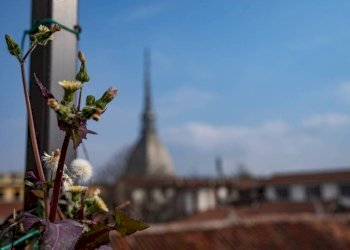 Terreno - Monolocale via San Francesco di Paola, 3, Torino (zona Centro) - foto 16