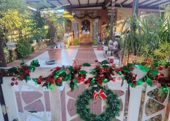 Giardino - Attico Bologna (zona Mazzini) - foto 3