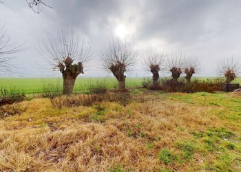 md2079-esterno-12222025_171411 - Independent house via Sant'Antonio, Medicina - photo 18