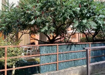 Piscina - Two-room apartment via Rialdo, 12, Viola - photo 14