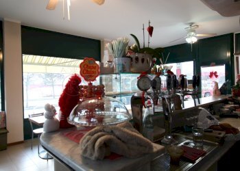 IMG_8139.JPG - Bar Tavola Calda - Fredda Arcugnano - foto 28