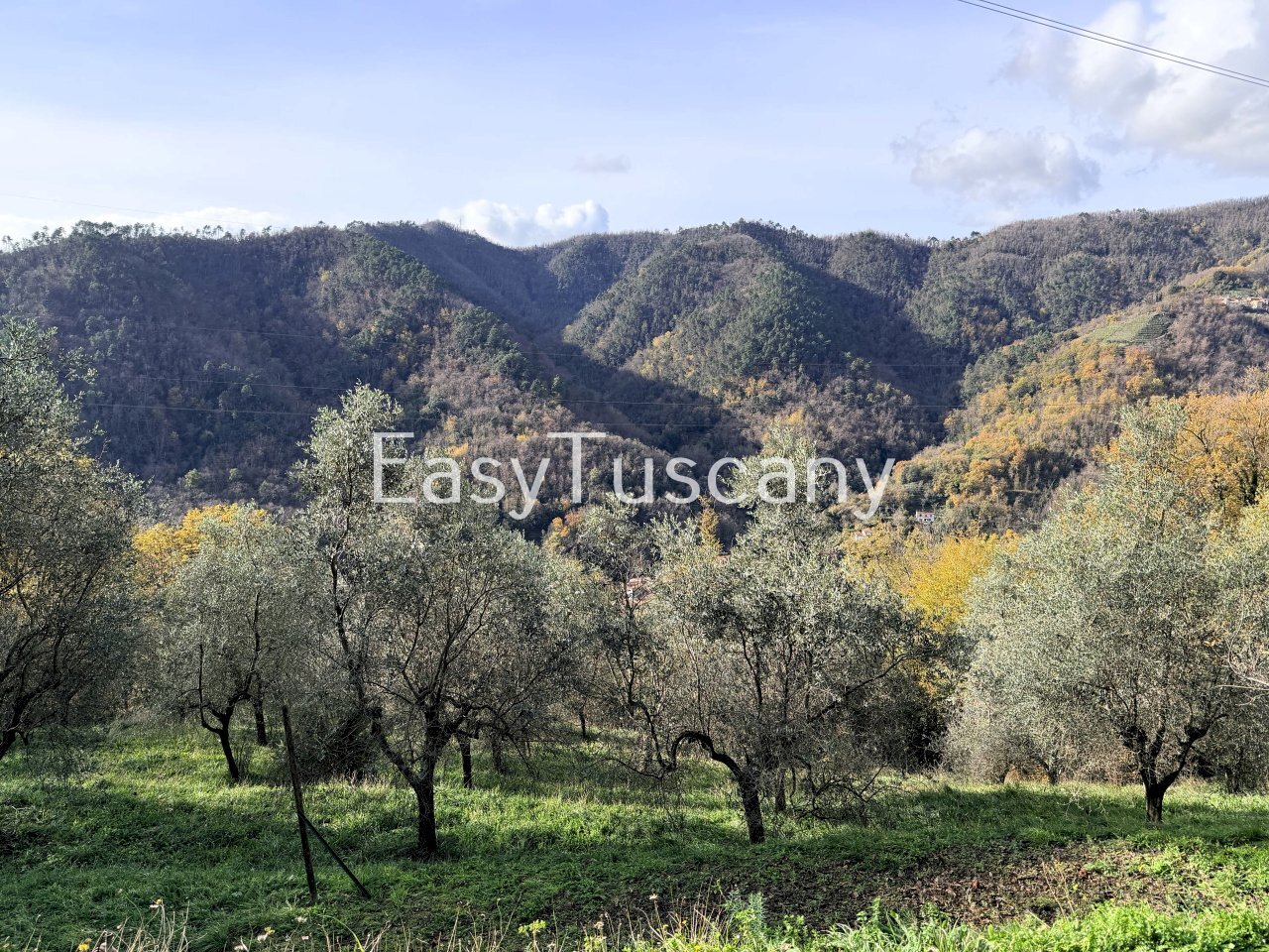 image00003.jpeg - Villa Via Melara 5, Carrara - foto 3