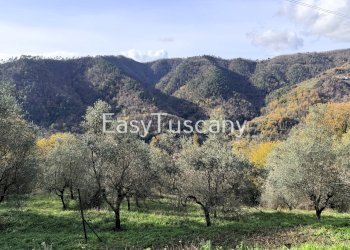 image00003.jpeg - Villa Via Melara 5, Carrara - foto 3