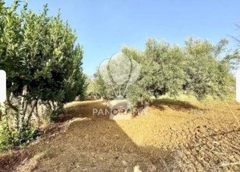 Villa B&B falconeria, Partinico - foto 34