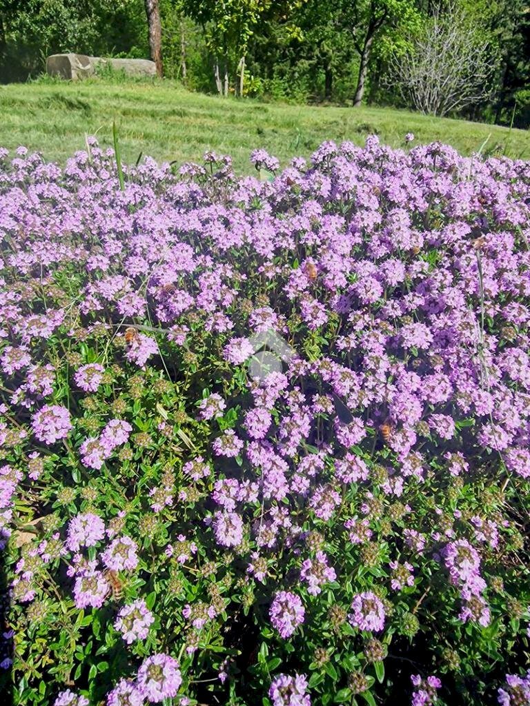 Porzione di casa Via Delle Valli, Sasso Marconi - foto 2