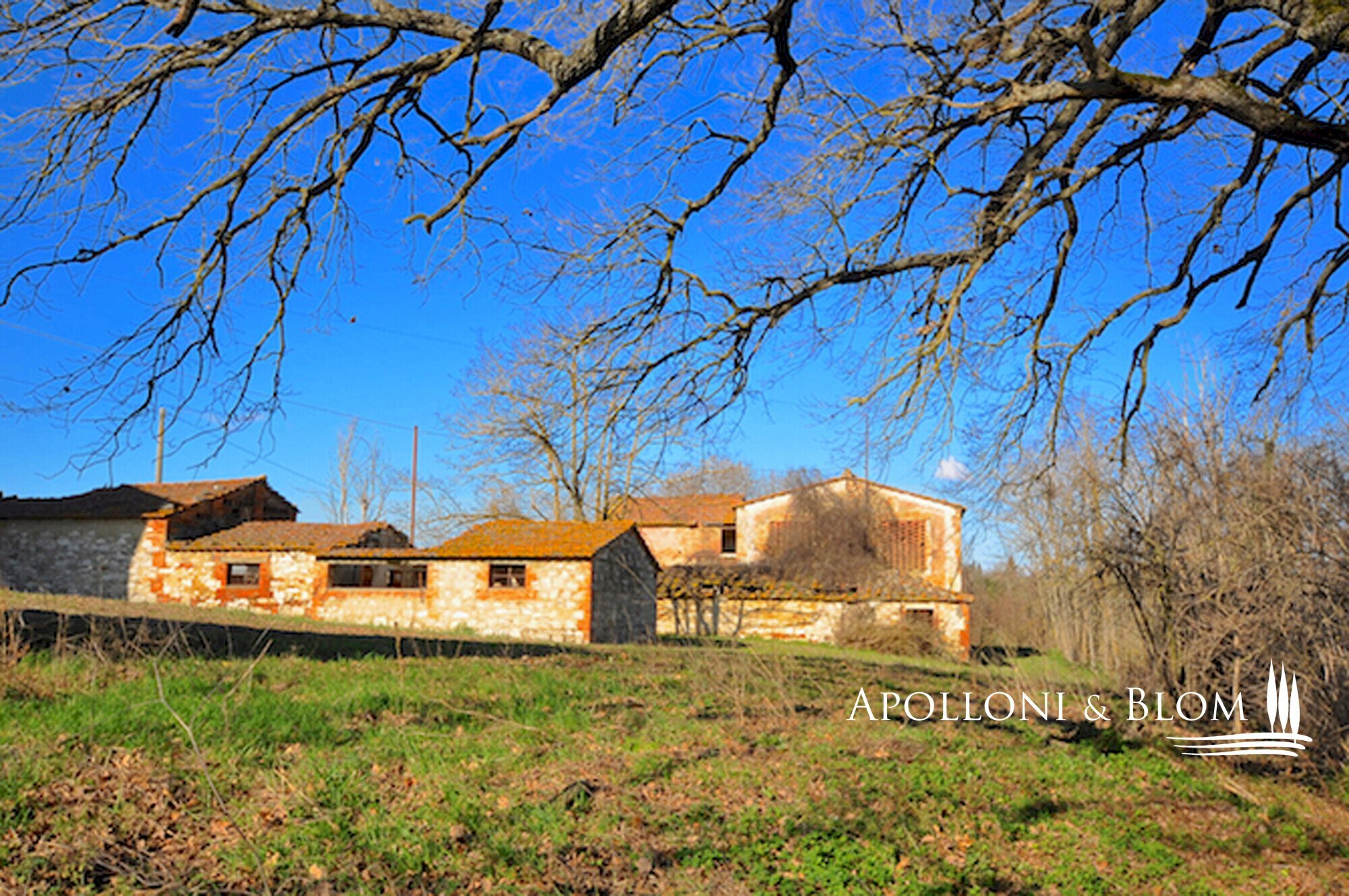 Rustico Via Barna, 31, Asciano - foto 2