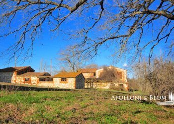 Rustico Via Barna, 31, Asciano - foto 2