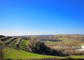 Rustico Via Barna, 31, Asciano - foto 9