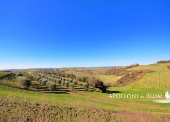 Rustico Via Barna, 31, Asciano - foto 11