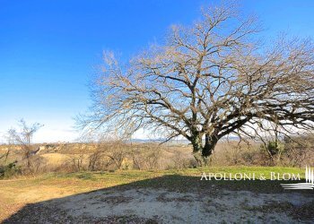 Rustico Via Barna, 31, Asciano - foto 12