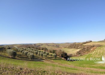 Rustic Via Barna, 31, Asciano - photo 9