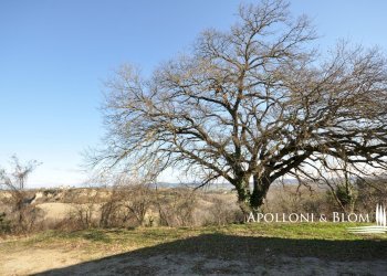 Rustic Via Barna, 31, Asciano - photo 14
