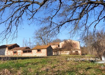 Rustic Via Barna, 31, Asciano - photo 15