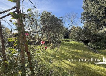 Casale Petrolo, 15, Bucine - foto 29