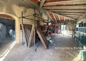 Casale Petrolo, 15, Bucine - foto 39