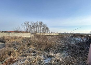 Terreno edificabile Piobesi Torinese - foto 4