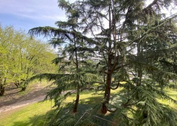 Appartamento frazione Milano 3, Basiglio - foto 27