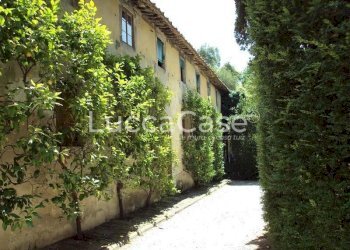 Villa Lucca (neighborhood Palmata) - photo 13