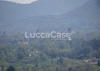 Villa Lucca (neighborhood Palmata) - photo 14
