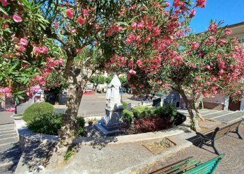 Foto 17 - Appartamento piazza sant'angelo, Vallecorsa - foto 17