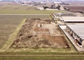 Foto 1 - Terreno edificabile VIA DEL LAVORO, Montebello Vicentino - foto 1