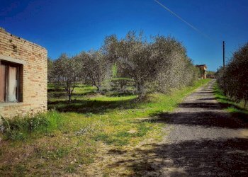 Foto 3 - Independent house C.da Ferretti
 
38, Castorano - photo 3