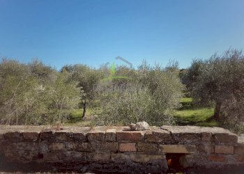 Foto 4 - Independent house C.da Ferretti
 
38, Castorano - photo 4