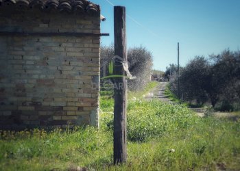 Foto 16 - Independent house C.da Ferretti
 
38, Castorano - photo 16