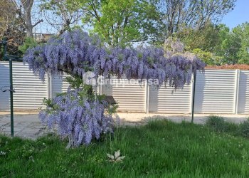 Foto 19 - Trilocale Via Cusago
 
59, Bareggio - foto 19