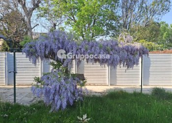 Foto 20 - Trilocale Via Cusago
 
59, Bareggio - foto 20